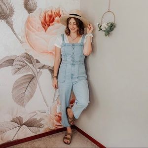 Madewell denim overalls
